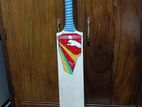 CA12000 cricket bat