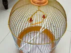 চাইনিজ পাখির খাচা