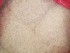 পাইকারি দামে ভালো মানের চাল/ডাল/আটা/তেল/চিনি