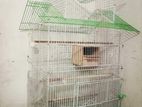 চায়না খাচা/bird cage