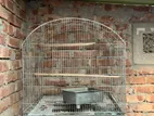 Cage & cocatail breeding box