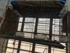 Bird cage sell