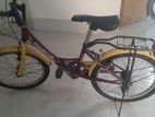 Camelia 20" junior bicycle