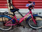 Camellia 20 Size Ledis Cycle