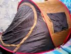 Camping Tent