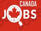 Canada job visa Italy