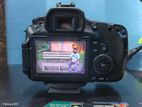 Canno 60d All Setup