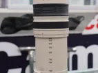 Canon 100-400mm Lens