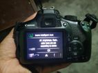canon 1300d + 50 mm prime 1.8