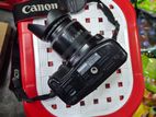 Canon 1300d + 50mm Prime Lens (70-300mm Sigma Auto Not Working)2 Battary