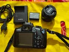Canon 1300D Body + 50mm Prime lens