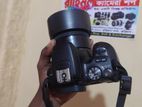 canon 200D with 50mm STM prime lens 1.8