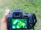 canon 250 D