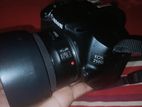 canon 250 d