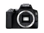 canon 250D Body only