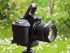 Canon 250D Camera (200Mark II)