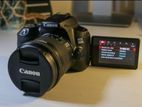 canon 250d dslr camera