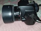Canon 250d