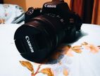 Canon 250D For Sell (With Primary Kit+SD Card+Battery)