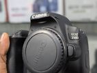 canon 250D only body