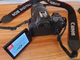 CANON 250D (WiFi/Touchscreen) with STM Lens