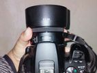 Canon 250D with 50 mm Lens, Bag, Memory Card & Other Accessories