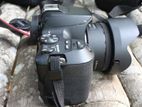 Canon 250d With 50mm Stm Prime