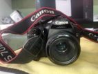 Canon 30d Fresh