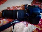 Canon 4000d & 75. 300 zoom lens