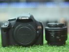 canon 500D+yn50mm lens