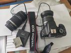 Canon 550D & 55-250mm zoom lens + Kit