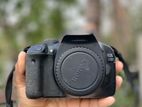 Canon 550d Model
