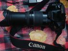 Canon 550d With 75-300mm Dumbo Zoom Lens