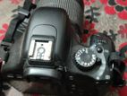 canon 550dslr