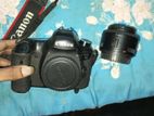 canon 6 d body with prime lens