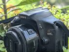 Canon 600d+ 500mm Prime Lens