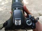 Canon 600d + 75-300 zoom lens