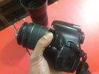 Canon 600d & 55/250 is lens 18/55 tms sale