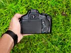 canon 600d camera body