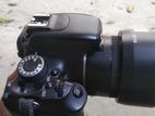 Canon 600d with 50 mm prime stm lens