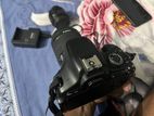 Canon 600d with 50mm prime and kit lens