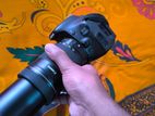 Canon 600D with 55-250mm STM lens