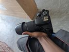 canon 600d with 70-300mm zoom lens