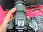 Canon 600d With 75-300 Zoom Lens Almost New
