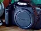 Canon 600D,75-300Zoom lens,50mm prime lens