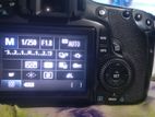 Canon 60d Camera