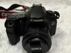 Canon 60D (Used)