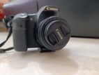 Canon 60D with 2 lenses