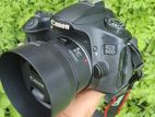 canon 60d with 50mm stm lance