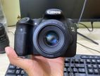 Canon 60d with 50mm Stm Prime Lens